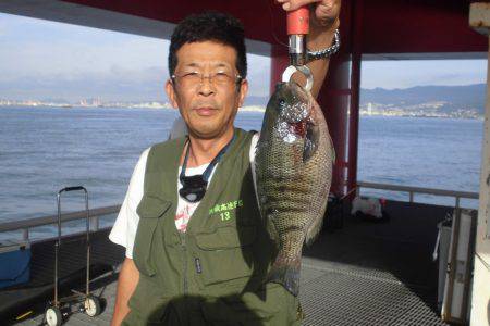 尼崎市立魚つり公園 釣果