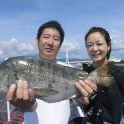 尼崎市立魚つり公園 釣果