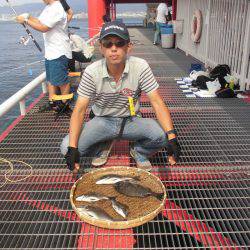 尼崎市立魚つり公園 釣果