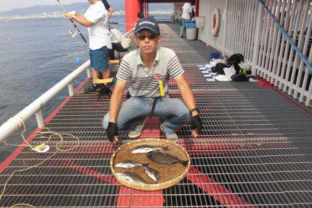 尼崎市立魚つり公園 釣果