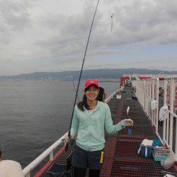 尼崎市立魚つり公園 釣果