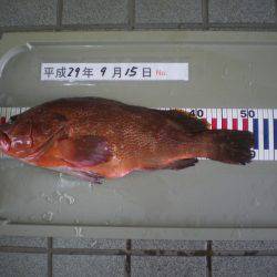 姫路市立遊魚センター 釣果