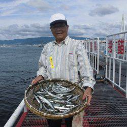 尼崎市立魚つり公園 釣果