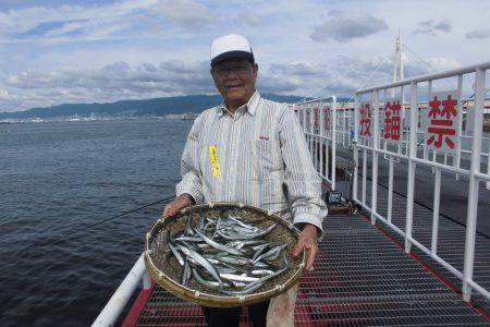 尼崎市立魚つり公園 釣果