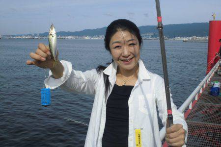 尼崎市立魚つり公園 釣果