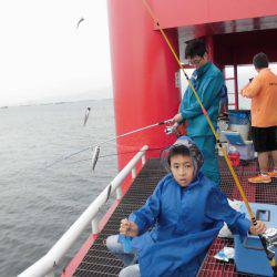 尼崎市立魚つり公園 釣果