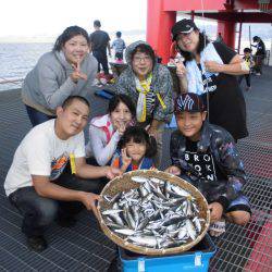 尼崎市立魚つり公園 釣果