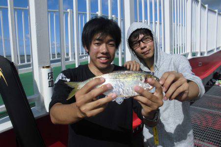 尼崎市立魚つり公園 釣果