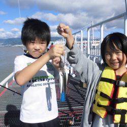 尼崎市立魚つり公園 釣果