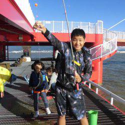 尼崎市立魚つり公園 釣果