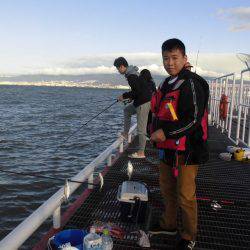 尼崎市立魚つり公園 釣果