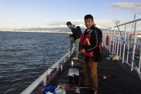 尼崎市立魚つり公園 釣果