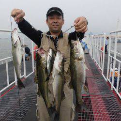 尼崎市立魚つり公園 釣果