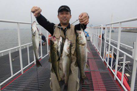 尼崎市立魚つり公園 釣果