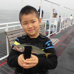 尼崎市立魚つり公園 釣果