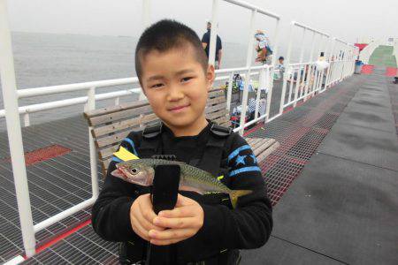 尼崎市立魚つり公園 釣果
