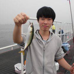 尼崎市立魚つり公園 釣果