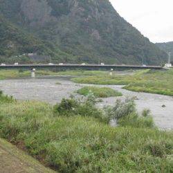 狩野川(狩野川漁業協同組合) 釣果