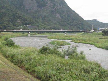 狩野川（狩野川漁業協同組合） 釣果