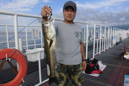 尼崎市立魚つり公園 釣果
