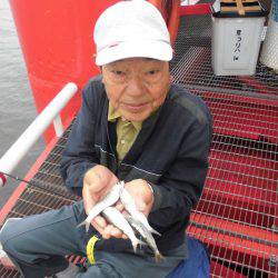 尼崎市立魚つり公園 釣果