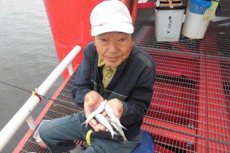 尼崎市立魚つり公園 釣果