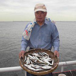 尼崎市立魚つり公園 釣果
