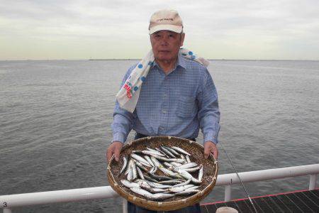 尼崎市立魚つり公園 釣果
