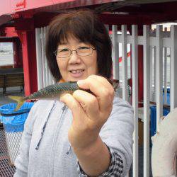 尼崎市立魚つり公園 釣果
