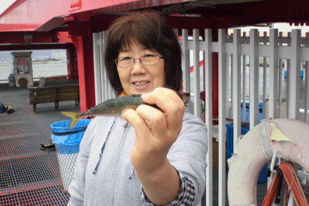 尼崎市立魚つり公園 釣果