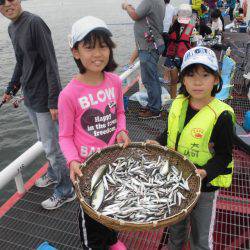 尼崎市立魚つり公園 釣果
