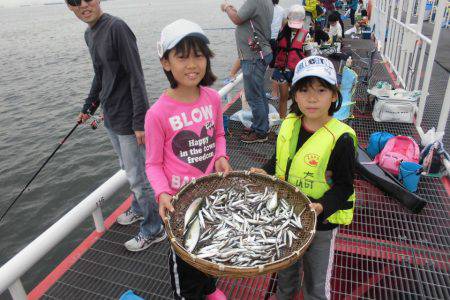 尼崎市立魚つり公園 釣果