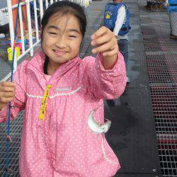 尼崎市立魚つり公園 釣果