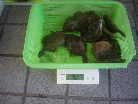 姫路市立遊魚センター 釣果