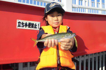 尼崎市立魚つり公園 釣果