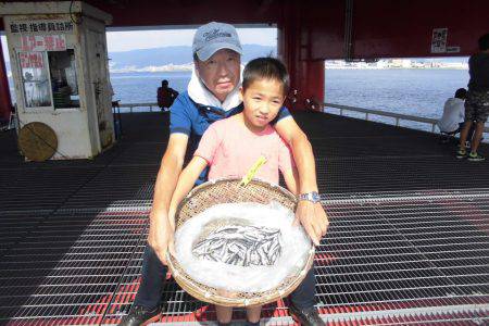 尼崎市立魚つり公園 釣果