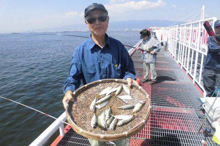 尼崎市立魚つり公園 釣果