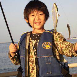 尼崎市立魚つり公園 釣果