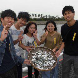 尼崎市立魚つり公園 釣果