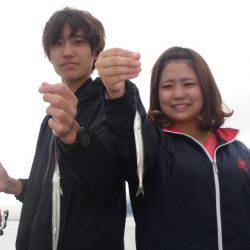 尼崎市立魚つり公園 釣果