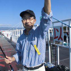 尼崎市立魚つり公園 釣果