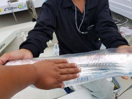 遊漁船　ニライカナイ 釣果