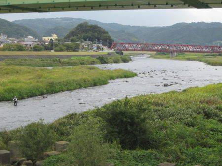 狩野川（狩野川漁業協同組合） 釣果