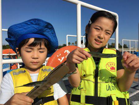尼崎市立魚つり公園 釣果