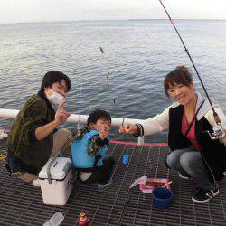 尼崎市立魚つり公園 釣果