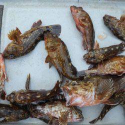 TOPGUN名古屋 釣果