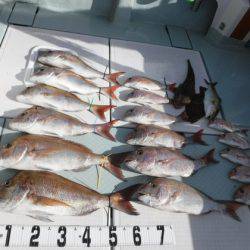 遊漁船 幸友丸 釣果