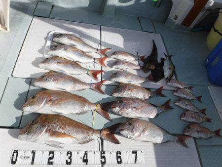 遊漁船 幸友丸 釣果