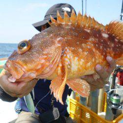 真祐丸 (しんゆうまる) 釣果
