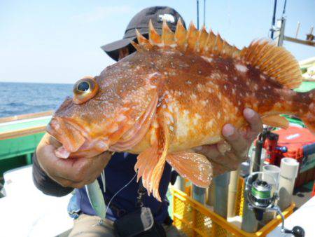 真祐丸 (しんゆうまる) 釣果